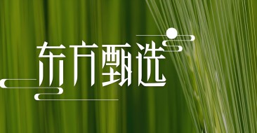东方甄选扭亏为盈，自营业务成亮点，但挑战才刚开始